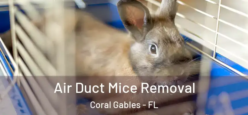  Air Duct Mice Removal Coral Gables - FL