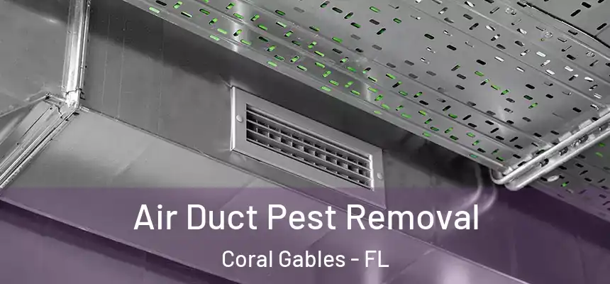 Air Duct Pest Removal Coral Gables - FL