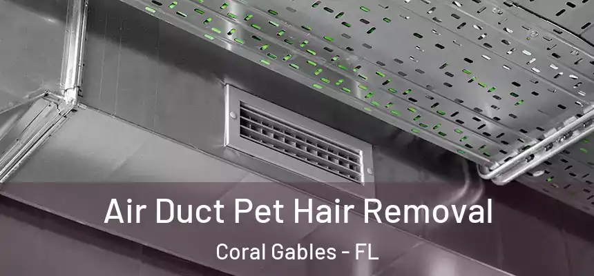 Air Duct Pet Hair Removal Coral Gables - FL