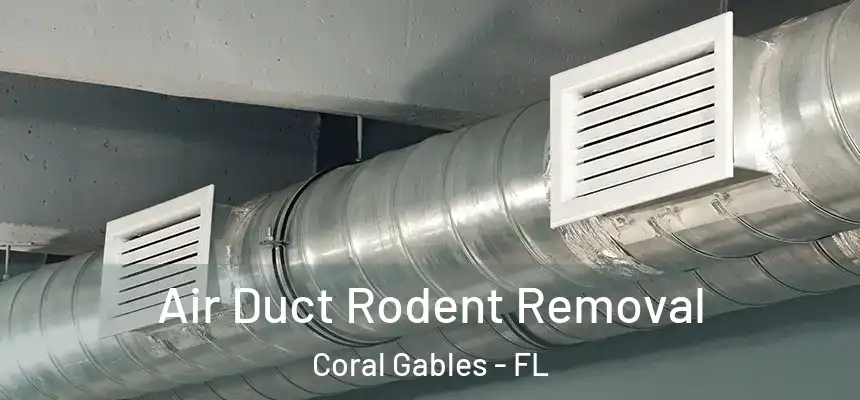Air Duct Rodent Removal Coral Gables - FL