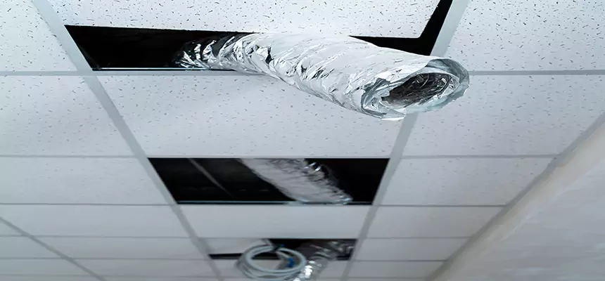 Affordable HVAC Sanitizing After Pest Removal in Coral Gables