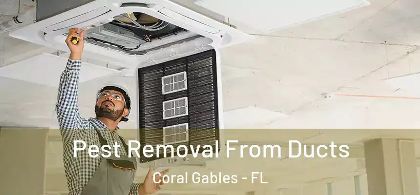  Pest Removal From Ducts Coral Gables - FL
