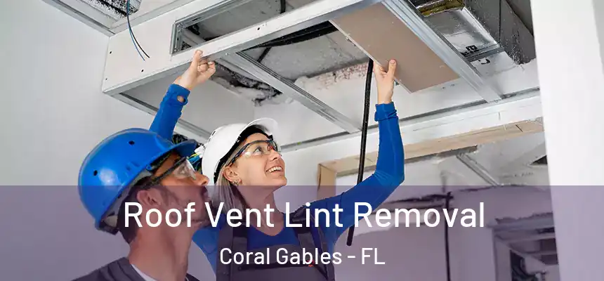  Roof Vent Lint Removal Coral Gables - FL