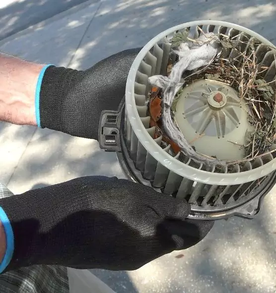 About Air Duct Mice Removal in Coral Gables, FL