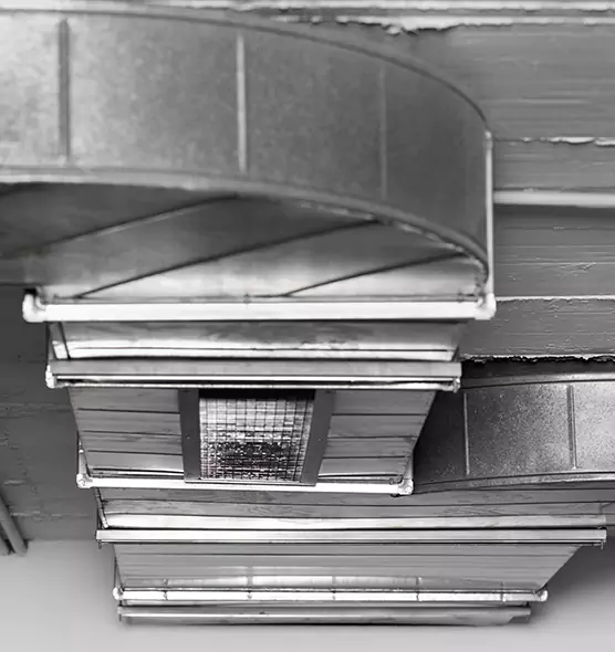 Professional Air Duct Pet Hair Removal in Coral Gables, FL