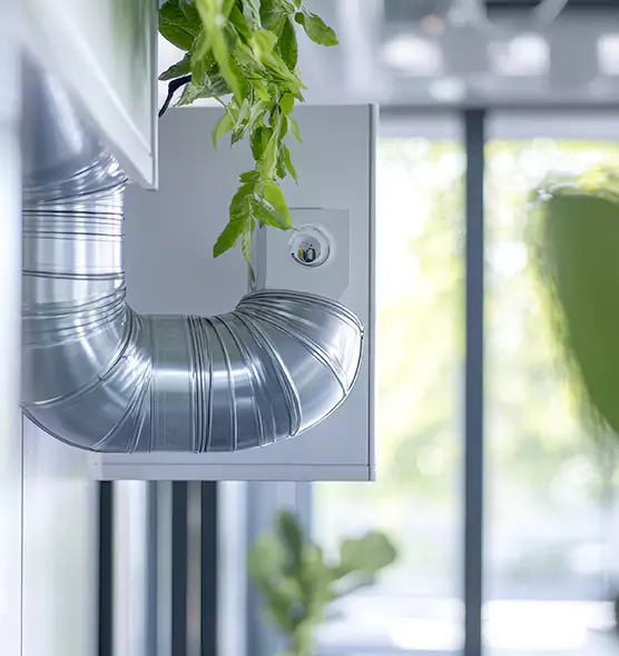 Professional Eco-Friendly Duct Cleaning Services in Coral Gables, FL