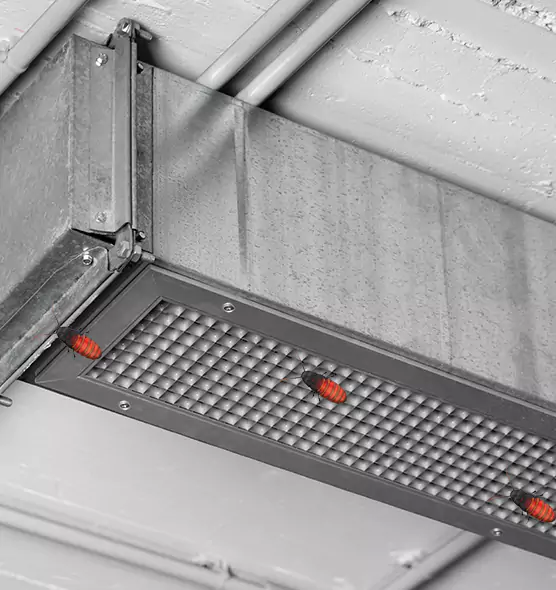 Affordable Insect Removal from Air Ducts in Coral Gables, FL