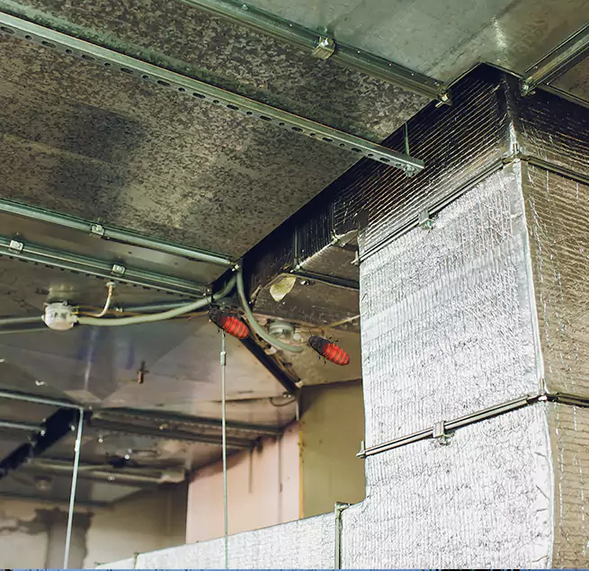 Why Homeowners & Businesses Trust Us in Coral Gables, FL?