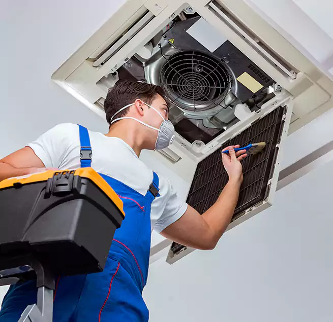 Why Homeowners & Businesses Trust Us in Coral Gables, FL?